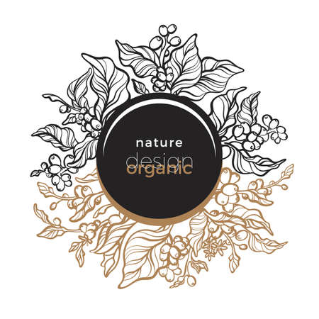 Vector nature ornament in circle, floral template, elegant banner Coffee branch, leaves flower, natural bean Organic herb plant Art deco vintage design Green garden, bio wreath, round card, bloom parkのイラスト素材