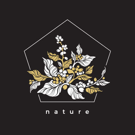 Vector luxury package template, invitation with elegant golden coffee branch, leaves, bean, grain. Art deco design, nature card, geometric bio frame. Organic flora. Botanical bouquet, premium labelのイラスト素材