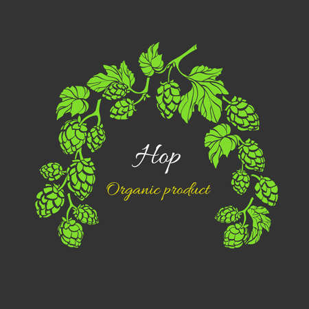 Vector nature template. Hop branch with leaf and cone. Botanical art realistic shape of plant. Natural organic drink, beer. Bio frame, herbal pattern. Simple design for card, pub. Botany designのイラスト素材