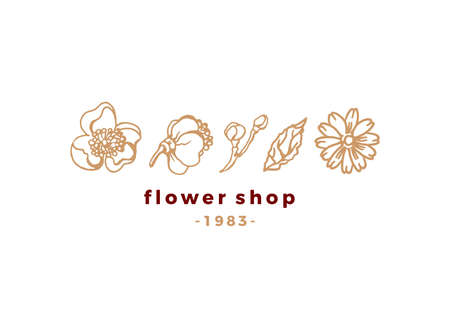 Vector floral set. Beauty logo for shop. Nature elegant emblem. Simple style. Art sketch, hand made illustration on white background. Natural spring, summer flowers for design cardのイラスト素材