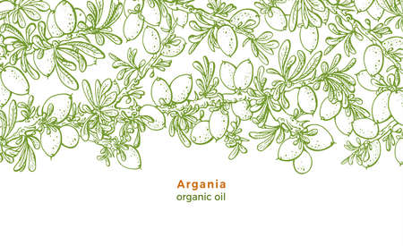 Argan tree. Vector sketch of green forest, branch, nut, seed, foliage. Hand drawn illustration on white background. Art botany healthy food, organic oil. Nature harvest
のイラスト素材