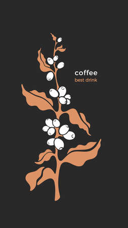 Vector coffee plant. Art symbol. Golden branch, tropical aroma bean. Nature illustration isolated on black background. Premium arabica product, luxury cardのイラスト素材