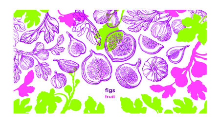 Figs plant template. Vector fresh plantation. Hand drawn color sketch, art pattern on white background. Botanical tree, summer fruits, texture leaf. Sweet exotic foodのイラスト素材