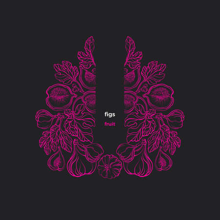 Fig ornate pattern. Vector graphic branch, sweet fruit, texture leaves. Vintage illustration, art design. Botanical graphic sketch, filigree engraving. Organic product. Victorian label, symbolのイラスト素材