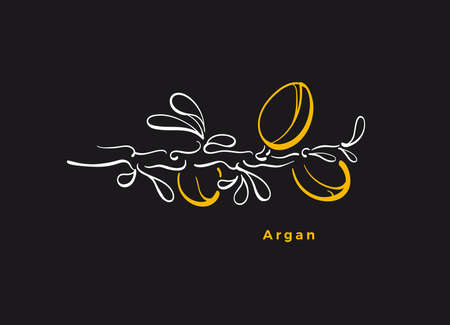 Argan branch symbol. Vector art line nuts, graphic leaf. Organic essential oil. Sketch illustration isolated over black background. Beauty and spa cosmetics aroma essenceのイラスト素材