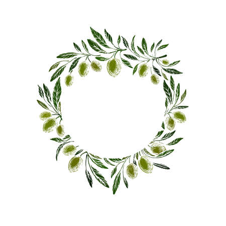 Olive grove. Green fruits, rustic branch. Vector texture italian wreath on white background. Nature frame, vintage pattern. Free space for your textのイラスト素材