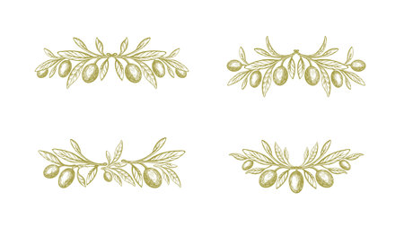 Olive rustic symbol. Vector collection of fruits, green leaves, branches. Vintage botanical monochrome illustration. Mediterranean food, aroma oilのイラスト素材