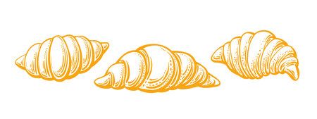 Fresh baked croissant. Hand drawn vector collection of isolate. Breakfast hot snack. Doodle bun illustration for design menu cafe, bistro, bakery productのイラスト素材