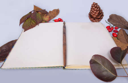 autumn calligraphy notebookの写真素材