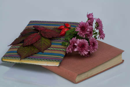 two books with flowers and dry leavesの写真素材