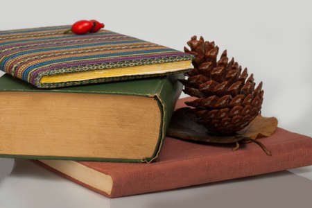 three books in different colours with pine coneの写真素材
