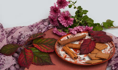 autumn composition with dry red leaves, cinnamonの写真素材