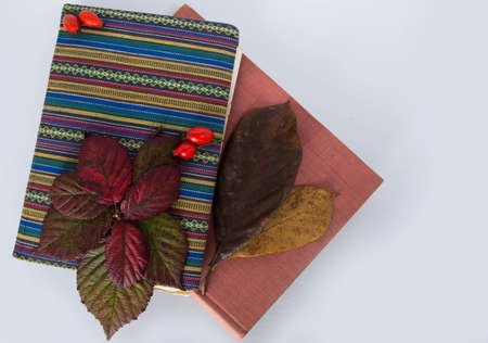 bird eye perspective of two books with autumn leaves on themの写真素材