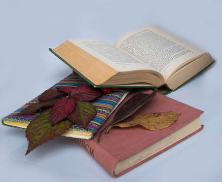 messy booksの写真素材