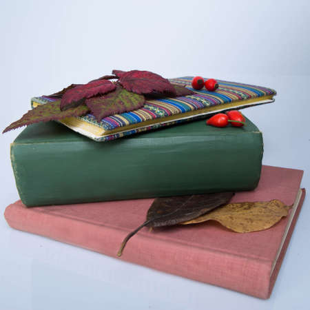 three books with leaves on themの写真素材