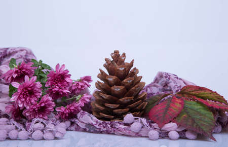scarf with pine cone and autumn leaves on itの写真素材