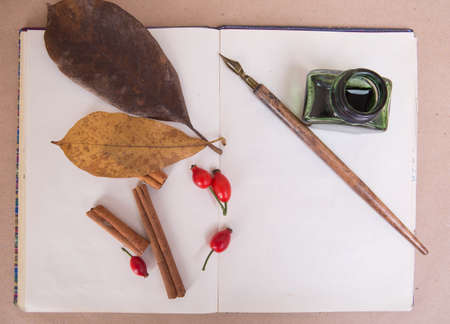 opened notebook with ink and drawing penの写真素材