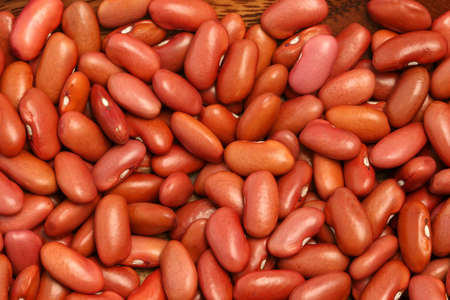 Various beans shapes and colors in macro mode.