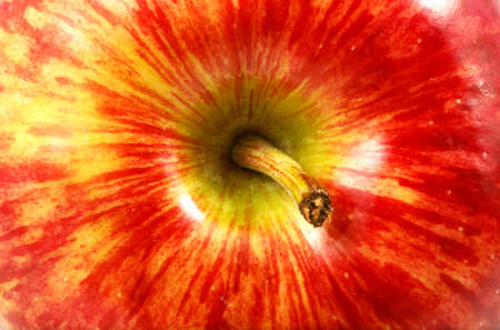 Macro shot of a red apple on its upper part.の写真素材