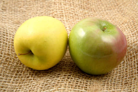 Couple of apples on a rustic fabric, red and green.の写真素材