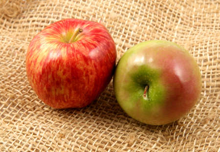 Red and green apple over a rustic fabric in horizontal format.の写真素材