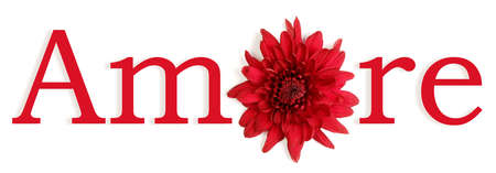 The word love in Italian with the O replaced by a flower.の写真素材