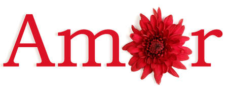 The word love in Spanish with the O replaced by a flower.の写真素材
