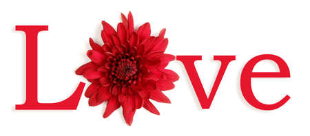 The word love with the O replaced by a flower.の写真素材