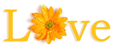The word love in English with the O replaced by a yellow flower.の写真素材