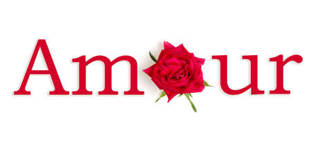 The word LOVE with the O replaced by a flower in Frenchの写真素材
