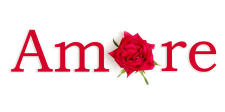 The word LOVE with the O replaced by a flower in Italianの写真素材