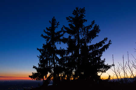 Landscape with a tree at sunsetの写真素材