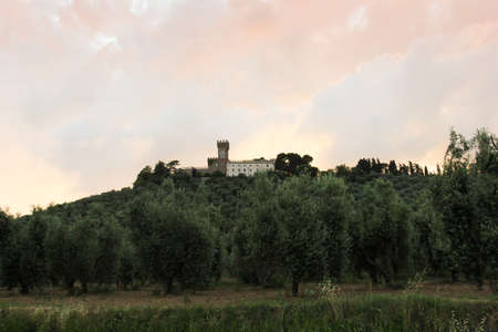 castle on the hill among the olive trees, at sunsetのeditorial素材