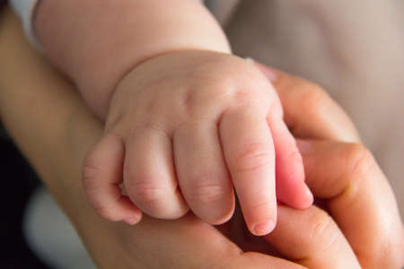Hand baby in mom's handの写真素材