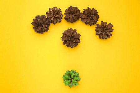 One green conelet opposing to other sixの写真素材