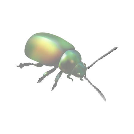 beetleのイラスト素材