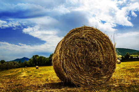 bale of straw