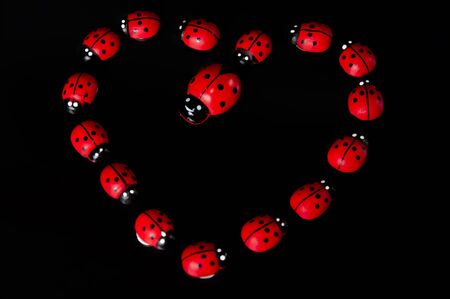 heart ladybugsの写真素材