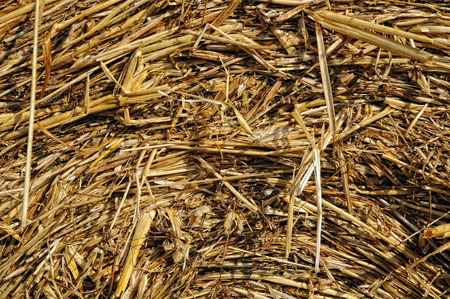 Background bale of strawの写真素材