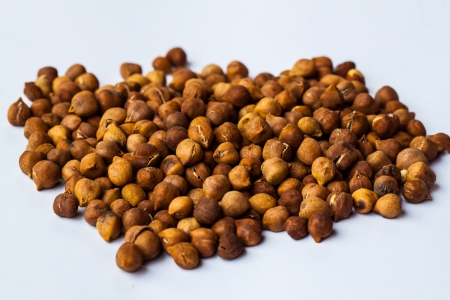 Group of Dolichos lab labの写真素材