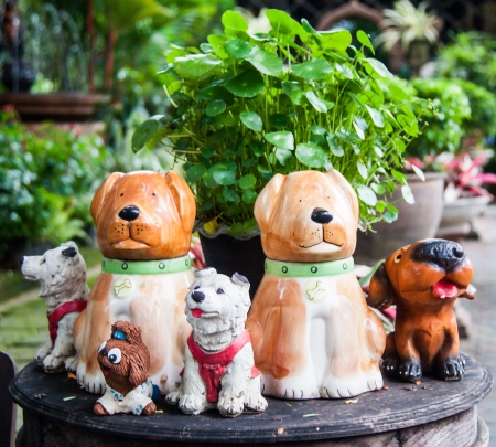 Sitting English cocker dogの写真素材