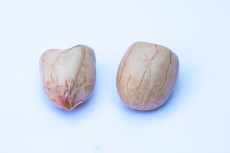 fresh ground nuts isolated on a white background