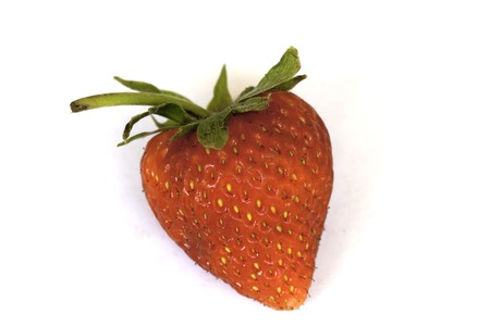 strawberriesの写真素材