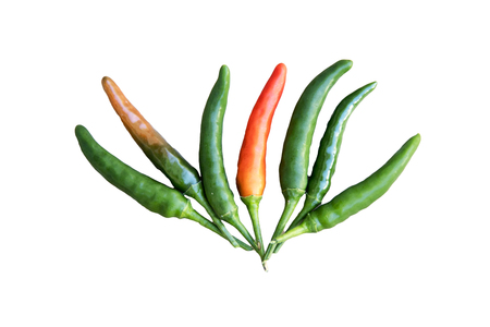 Hot chili peppers isolated on white backgroundの写真素材