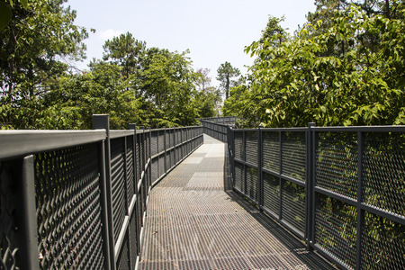 Canopy walks at Queen sirikit botanic garden Chiang Mai, Thailandの写真素材