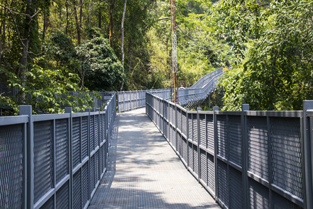 Canopy walks at Queen sirikit botanic garden Chiang Mai, Thailandの写真素材