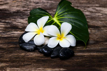 Spa stones, plumeria flower on wooden backgroundの写真素材