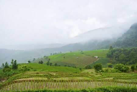Rice terrace at Pa-pong-peang , Mae Chaem, Chaing Mai ,North Thailandの写真素材