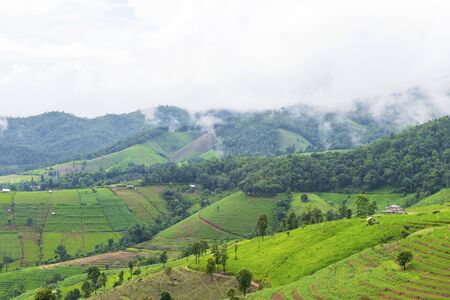 Rice terrace at Pa-pong-peang , Mae Chaem, Chaing Mai ,North Thailand.の写真素材