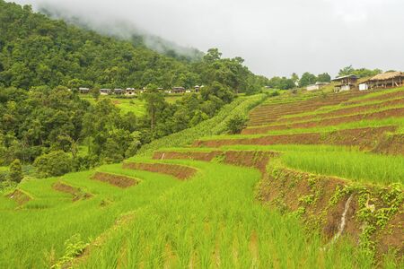 Rice terrace at Pa-pong-peang , Mae Chaem, Chaing Mai ,North Thailand..の写真素材